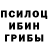 Псилоцибиновые грибы Psilocybe JasYoutube