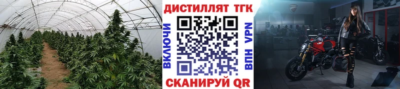 где можно купить Долгопрудный ТГК жижа